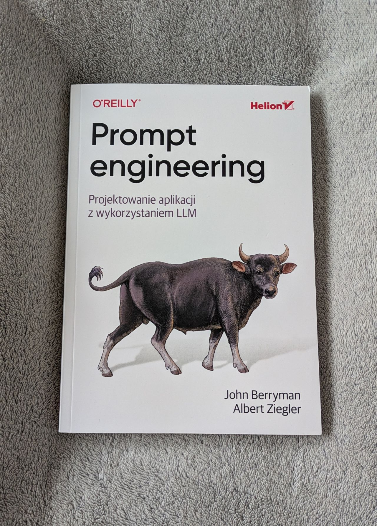 Prompt Engineering for LLMs